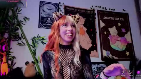   online show from February 2026 08:10:02 PM