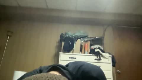 harvestmoon online show from March 2026 05:55:01 AM