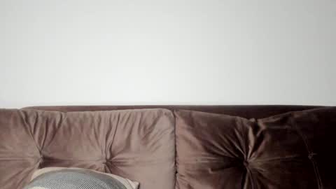 o_r_b_i_t online show from January 2025 04:06:01 PM