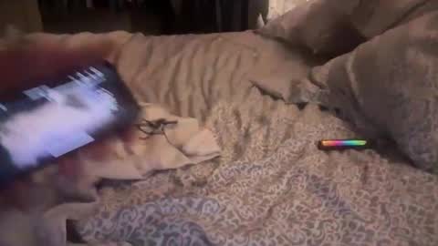 obiwand653040 online show from November 2025 05:28:02 AM