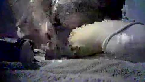 Snapshot of oc714r0nnie chatting on September 2025 12:50:02 PM Just Some Guy Playing online show from September 2025 12:50:02 PM