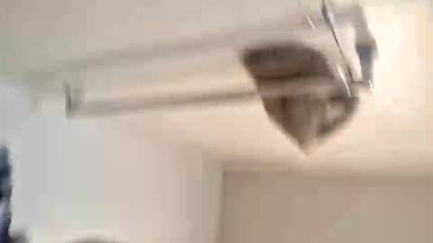 Snapshot of odz9ind chatting on February 2026 07:29:01 PM odz9ind online show from February 2026 07:29:01 PM