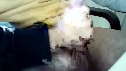 Snapshot of officersex_y chatting on November 2025 01:33:02 PM officersex y online show from November 2025 01:33:02 PM