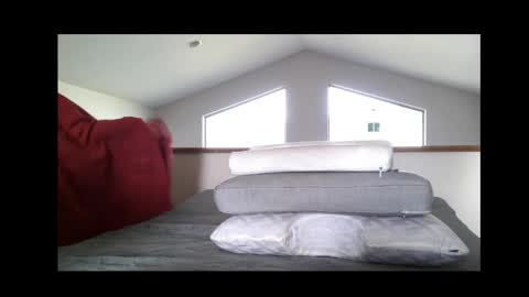 Official kiwi 22 online show from March 2026 11:26:02 PM