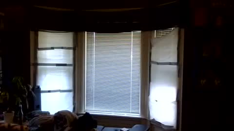 Snapshot of oflores77 chatting on April 2026 01:12:01 PM oscar flores online show from April 2026 01:12:01 PM