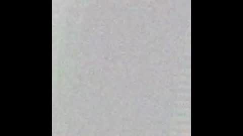 Kelly online show from December 2024 11:49:01 AM