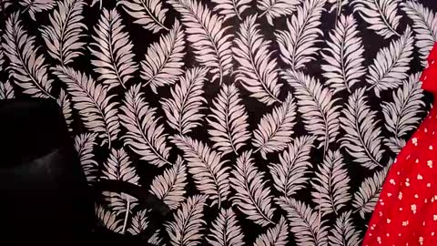 Kelly online show from December 2024 03:19:01 PM