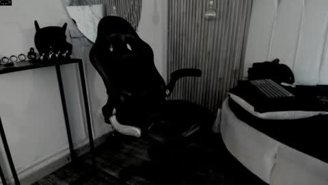     ... online show from May 2026 01:56:01 AM