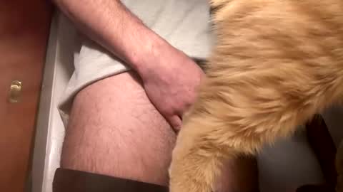 Snapshot of onedayonedollar chatting on February 2025 12:34:02 PM onedayonedollar online show from February 2025 12:34:02 PM