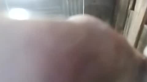 1760fourtwo86681 online show from February 2026 05:30:02 AM