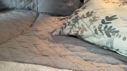 onthedlhere online show from January 2025 07:18:02 PM