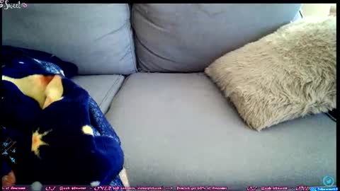 Snapshot of ooh_sweet chatting on June 2026 02:34:01 PM OF - Ooh 69sweet SNAP4LIFE OFFLINE 899 normal VIP 1369 outside online show from June 2026 02:34:01 PM