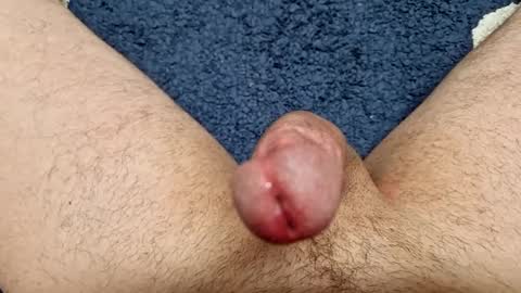 opelator online show from January 2025 04:59:01 AM