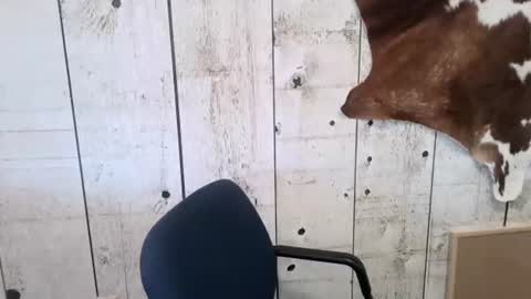 kinkynerd online show from November 2025 03:25:01 PM