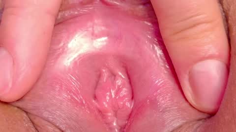 orchidekitty online show from May 2026 01:03:01 AM