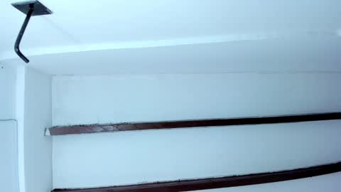 Miss Guzman  online show from January 2025 11:15:02 AM