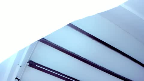 Miss Guzman  online show from February 2025 11:44:02 AM