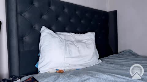 origamicat online show from January 2025 12:22:02 PM