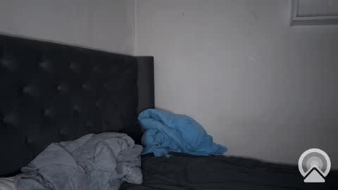 origamicat online show from February 2025 03:20:02 PM