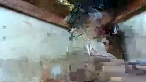 osinaa online show from May 2026 04:13:02 PM