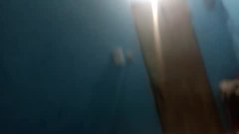 osogor online show from January 2026 07:14:01 AM