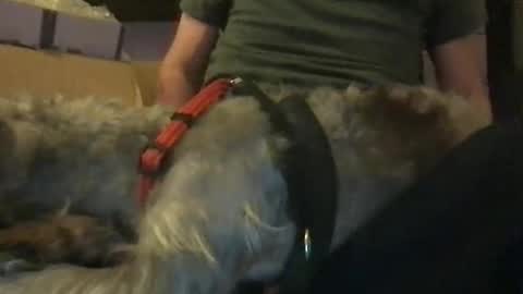 Snapshot of ossignol_xxx chatting on January 2025 06:14:01 AM rossignol online show from January 2025 06:14:01 AM