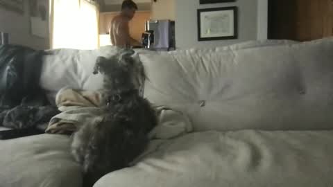 Snapshot of ossignol_xxx chatting on September 2025 04:29:02 PM rossignol online show from September 2025 04:29:02 PM