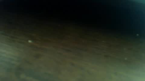 Snapshot of osyryx chatting on March 2026 08:27:02 PM Lucas online show from March 2026 08:27:02 PM
