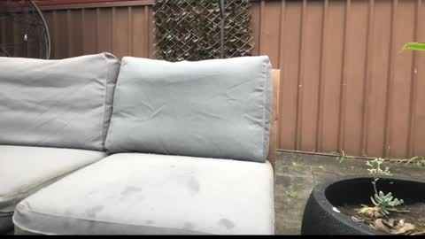 Snapshot of ozsurferboy773375 chatting on September 2025 12:59:01 AM Hrny aussie surfer online show from September 2025 12:59:01 AM