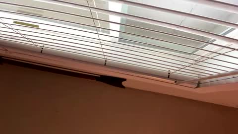 Snapshot of packinnstackin1996 chatting on January 2026 05:05:02 PM packinnstackin1996 online show from January 2026 05:05:02 PM