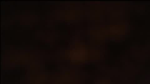 paiper online show from January 2025 10:23:02 AM