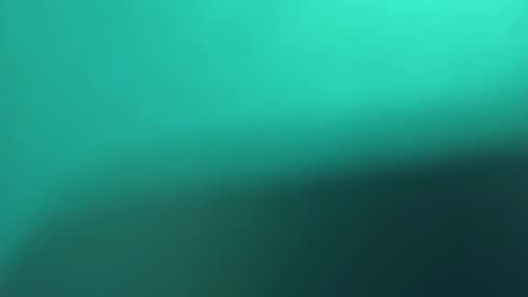   PALA online show from March 2025 11:18:02 PM