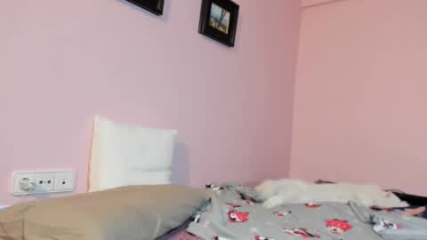 Merce   online show from January 2025 08:24:01 AM