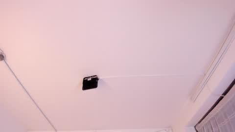 Paloma  online show from February 2025 11:36:02 PM