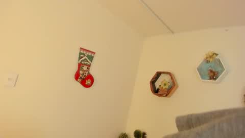 Paloma  online show from December 2025 08:27:02 PM