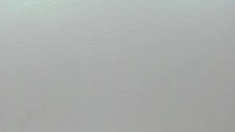  P A M  online show from February 2026 04:11:01 AM