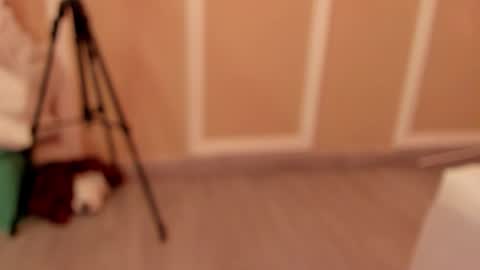 pamelamendez_1 online show from February 2026 04:56:01 AM