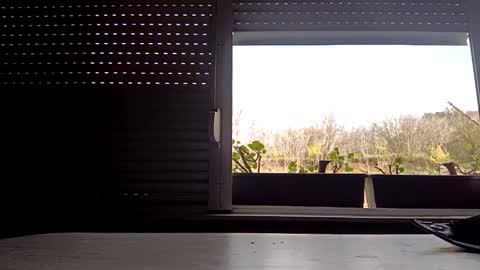 angel hris online show from April 2026 03:18:02 PM