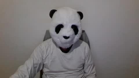 Snapshot of panda_feliz chatting on December 2024 07:01:02 PM Panda online show from December 2024 07:01:02 PM
