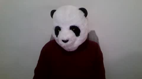 Snapshot of panda_feliz chatting on January 2025 12:52:01 PM Panda online show from January 2025 12:52:01 PM