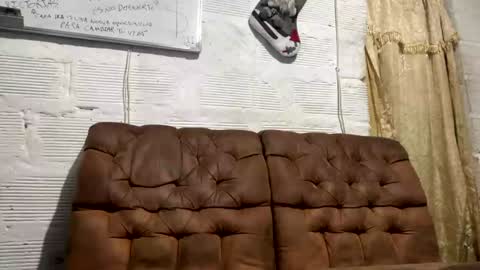 Snapshot of panthers_room chatting on December 2024 10:56:02 AM panthers_room online show from December 2024 10:56:02 AM