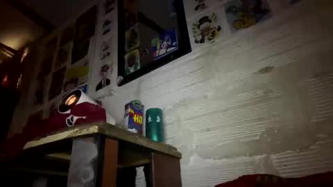 Snapshot of panthers_room chatting on January 2025 12:39:02 PM panthers_room online show from January 2025 12:39:02 PM