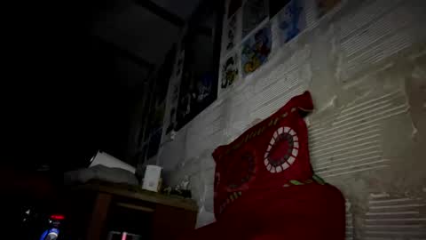 Snapshot of panthers_room chatting on February 2025 11:00:02 AM panthers_room online show from February 2025 11:00:02 AM