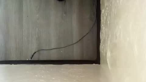 pantieplaytime52532 online show from December 2024 05:16:01 AM