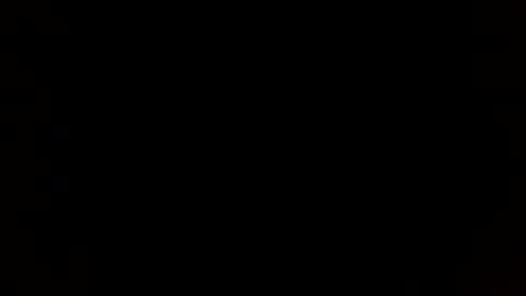 pantz online show from December 2024 10:06:02 AM