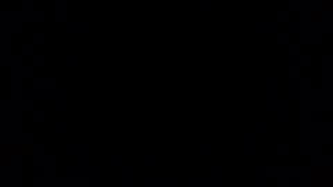 pantz online show from November 2025 12:44:02 PM