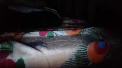 Snapshot of papimexicano703 chatting on November 2025 06:46:01 AM papi mexicano en boxers online show from November 2025 06:46:01 AM