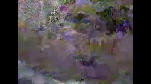 anytimeuwant online show from February 2026 12:32:01 PM