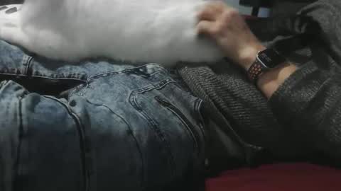 pasexhibe online show from February 2026 03:38:02 AM