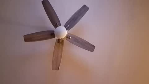 Snapshot of patrick247288 chatting on September 2025 04:47:01 AM patrick247288 online show from September 2025 04:47:01 AM